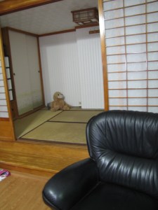 This Japanese Tea room is now the play room for the girls. If it's too messy, just shut the doors. 