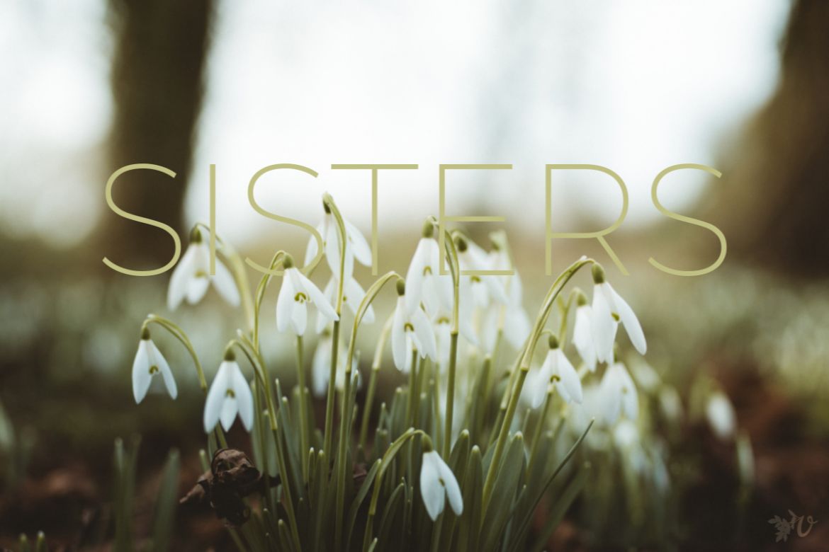 SISTERS-1170x780